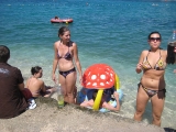 img_5071 img_5071
